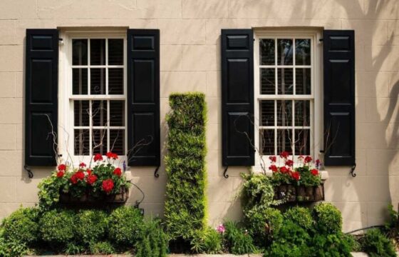 Double-Hung Windows: Common Issues and Expert Solutions