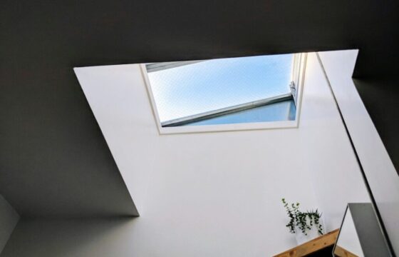 Common Repairs: For Skylight Windows